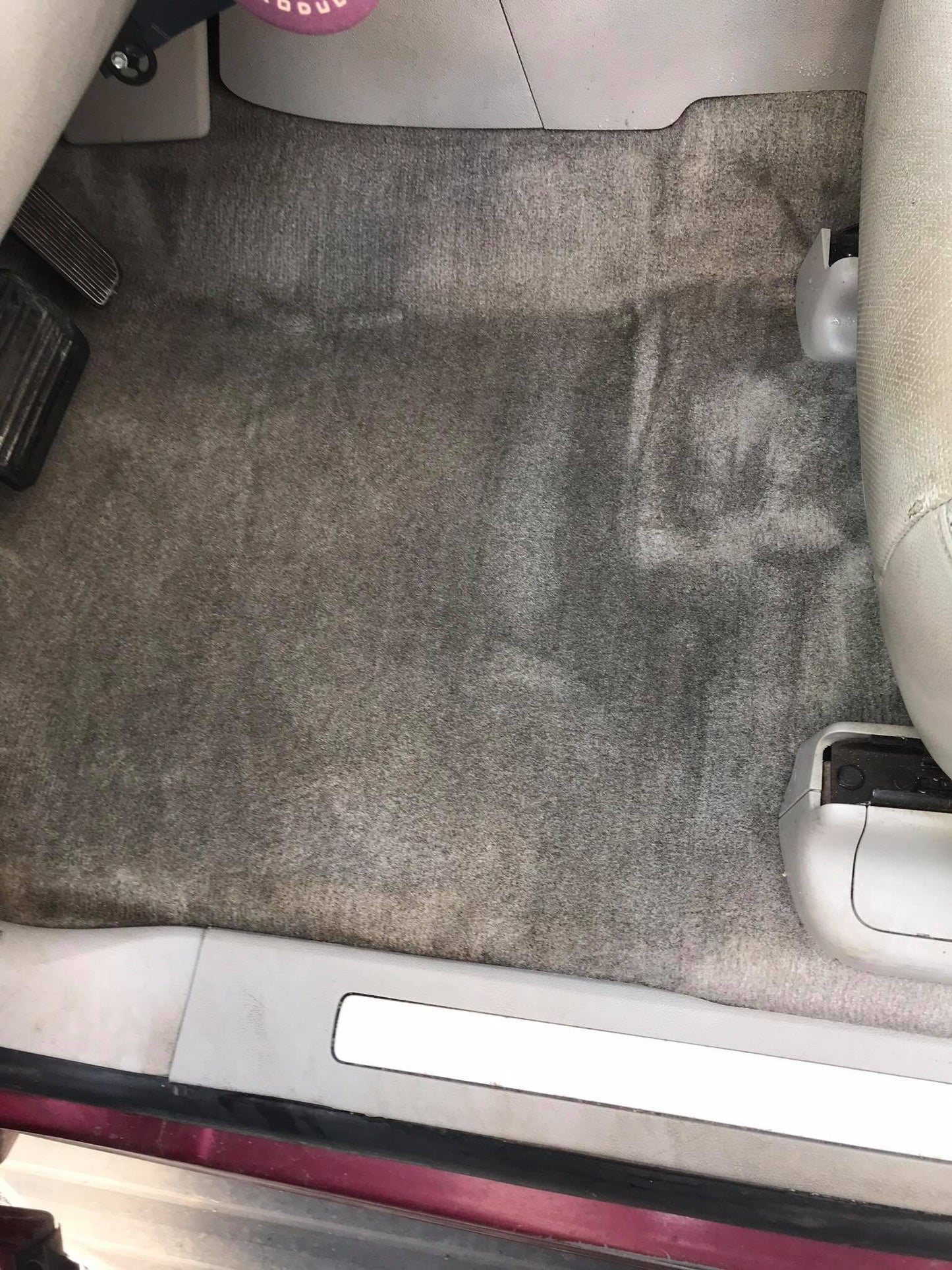 Steam Clean Carpet