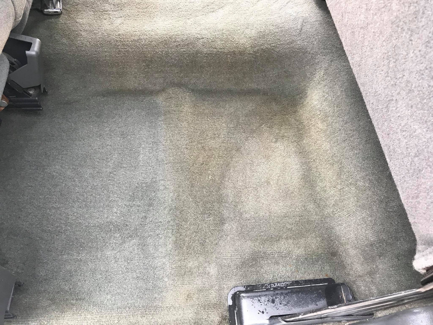 Steam Clean Carpet