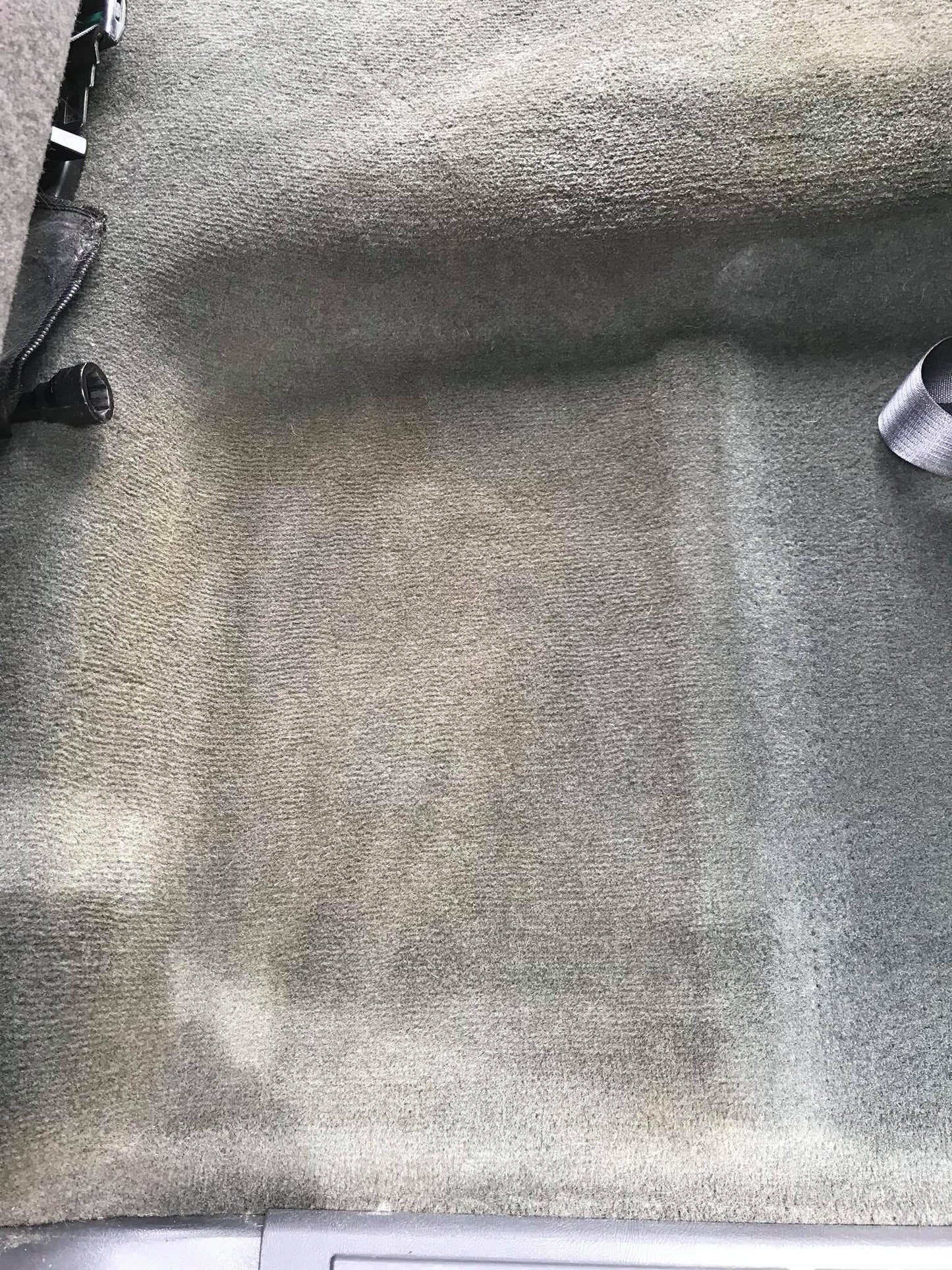 Steam Clean Carpet