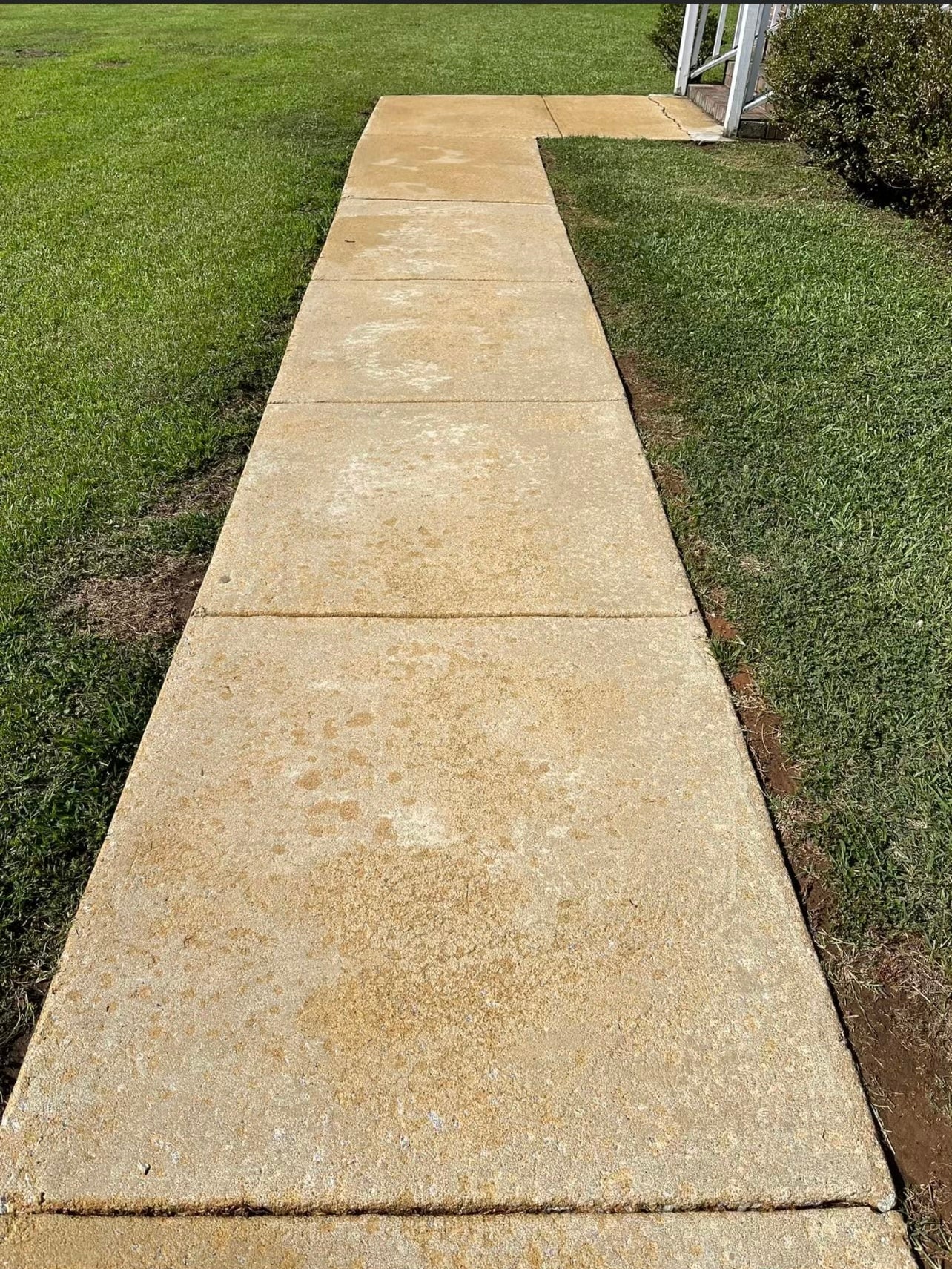 Sidewalk/Driveway/Concrete Cleaning