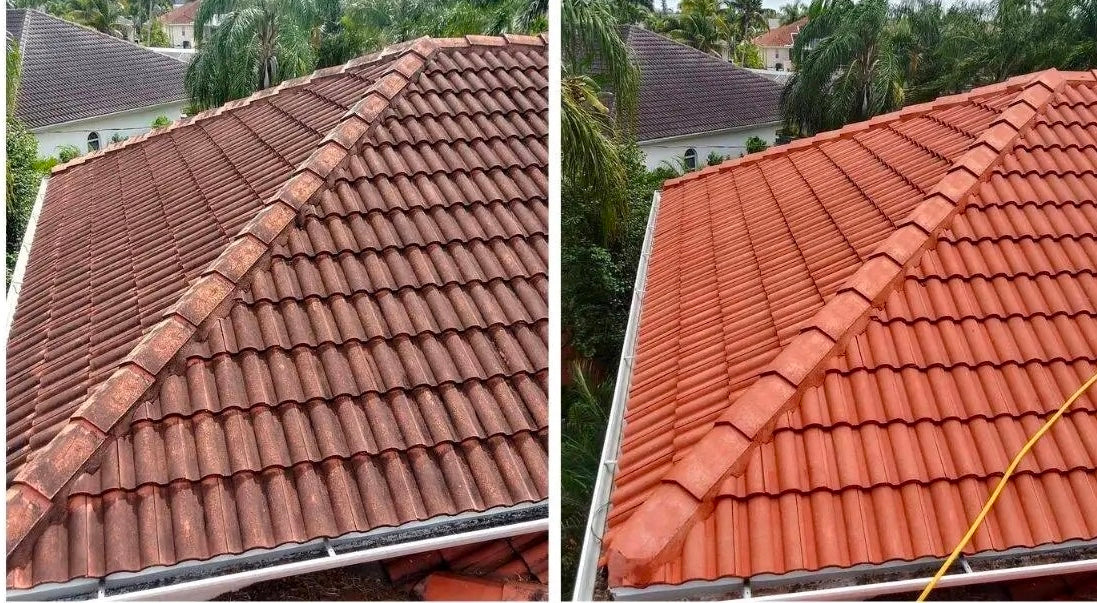 Roof Cleaning