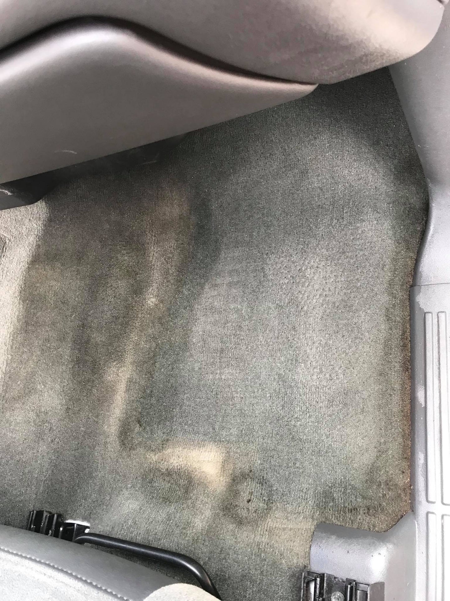 Steam Clean Carpet