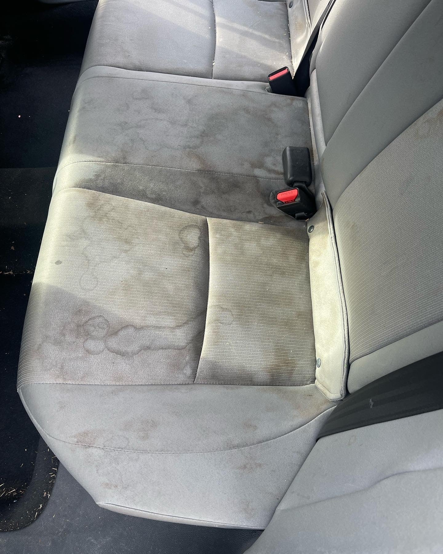 Steam Clean Seats or Clean and Condition Leather Seats